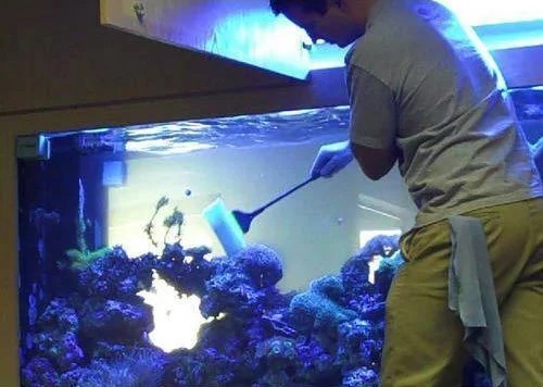 Aquarium maintenance in progress
